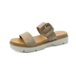 ATENA TERRA SUEDE
