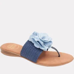 NARA NAVY