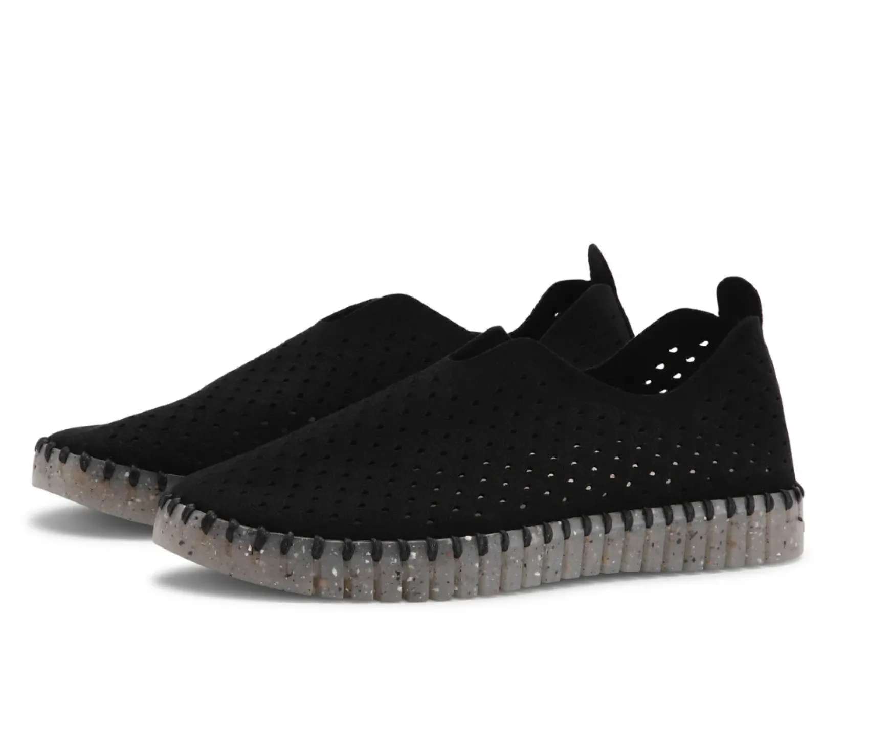 TULIP 3072 BLACK/CLEAR