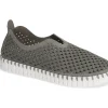 TULIP 139 GREY