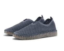 TULIP 3072 GREY BLUE/CLEAR